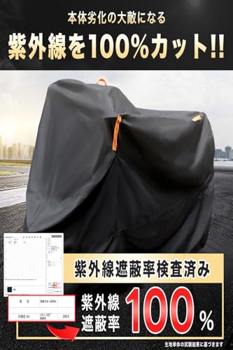 システムK トランポリンクッション 【お家で簡単エクササイズ】 運動